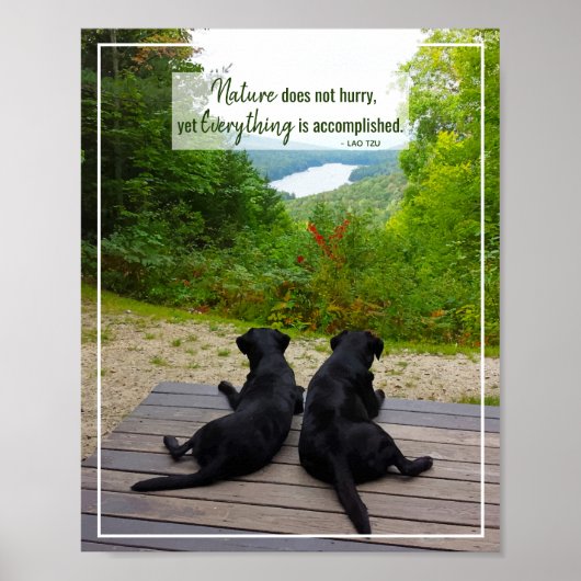 Poster La nature ne se dépêche pas - Citation inspirée de (Devant)