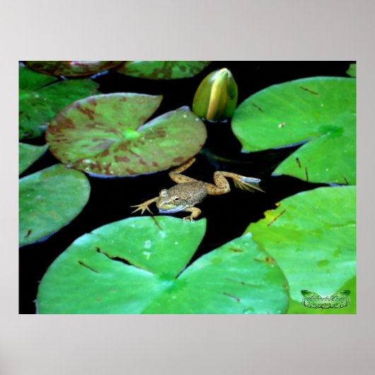 Poster La Nature Parmi Les Lys (Devant)