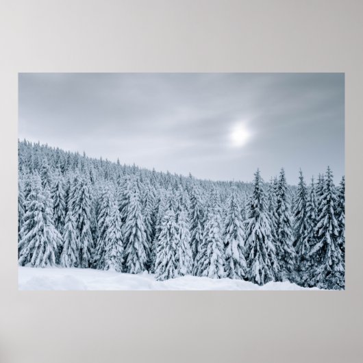 POSTER LA NEIGE COUVERT LES ARBRES PENDANT LA JOURNÉE (Devant)