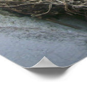 Poster La nouvelle arrivée du printemps (Coin)