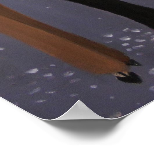 POSTER LA NUIT DES FILLES (Coin)