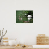Poster Là où couchent les canards Imprimer (Cuisine)