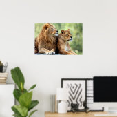 Poster La paire de lions et de lionnes (Bureau à domicile)