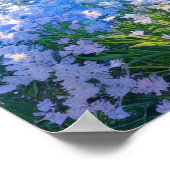 Poster La paisible Vallée Bleue (Coin)