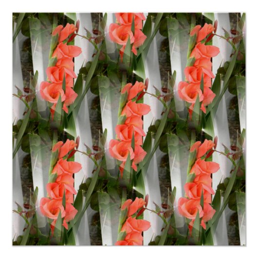 Poster La paix.... (Devant)