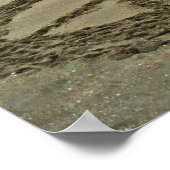 Poster la paix dans l'océan (Coin)