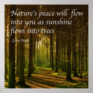 Poster 'La paix de la nature coulera en vous' citation J 