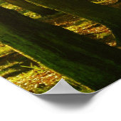 Poster 'La paix de la nature va couler dans vous' J Muir  (Coin)