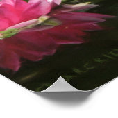 POSTER LA PAIX DE TIGER WILD (Coin)