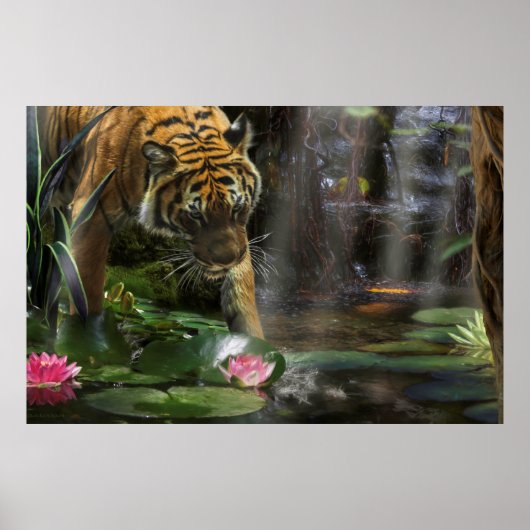 POSTER LA PAIX DE TIGER WILD (Devant)