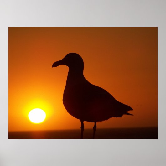 Poster La paix soit morte (Devant)