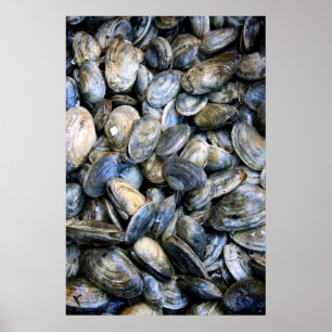 Poster La palourde font cuire au four