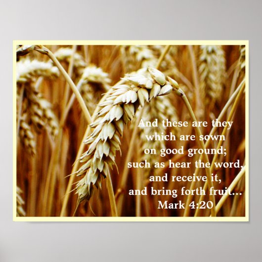 Poster La parabole de l'affiche Sower (Devant)