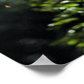 Poster La paresse à deux doigts de Hoffmann (Coin)