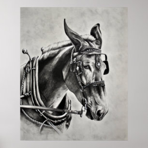 Poster La patience est une vertu