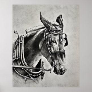 Poster La patience est une vertu