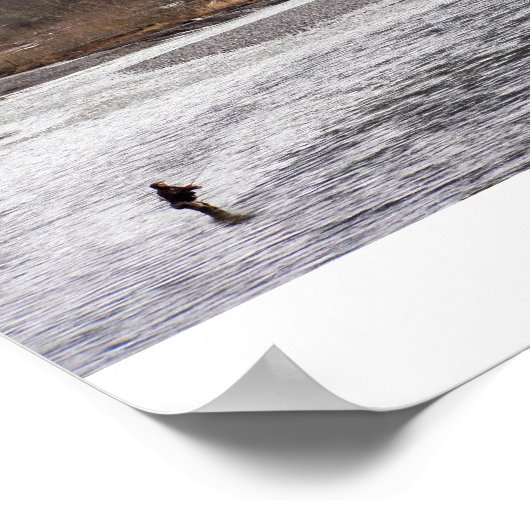 Poster La pêche dans le désert (Coin)