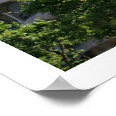 Poster La Pedrera (Coin)