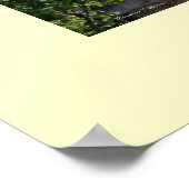 Poster La Pedrera (Coin)