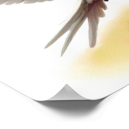 Poster La peinture numérique d'un Cockatoo de Mitchell (Coin)