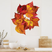 Poster La pente de Stolk (Cuisine)