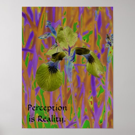 Poster La perception est Affiche-Iris de réalité (Devant)