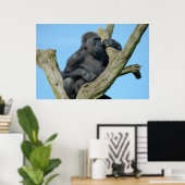 Poster La perche d'arbre paisible de Gorilla (Bureau à domicile)
