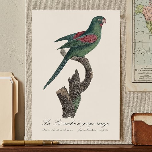 Poster La Perruche a gorge rouge