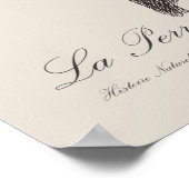 Poster La Perruche fringillaire (Coin)