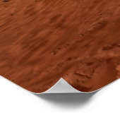 Poster La Persévérance Arrive En Toute Sécurité Sur Mars. (Coin)