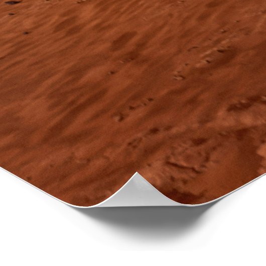 Poster La Persévérance Arrive En Toute Sécurité Sur Mars. (Coin)