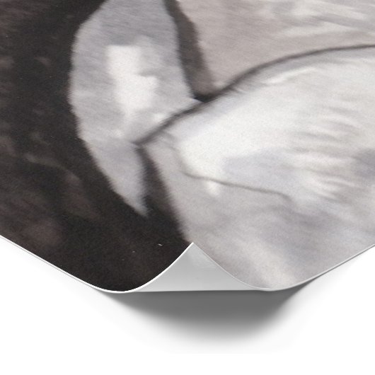 Poster La perte d'un être cher, la tristesse (Coin)