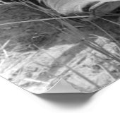 Poster La petite fille au volant d'un veau dans les année (Coin)