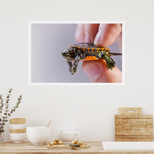 Poster La Petite Tortue (Cuisine)