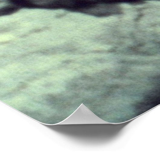 POSTER LA PHOTO ORIGINALE 1967 DE BIGFOOT SASQUATCH (Coin)