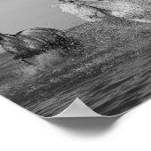 Poster La photographie d'art équin, (Coin)