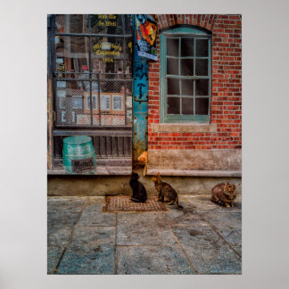 Poster La pièce de chat