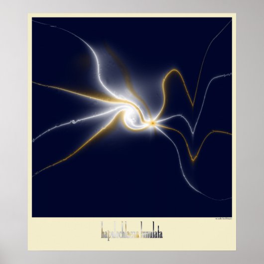 Poster la pieuvre bleue (Devant)