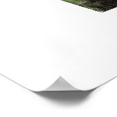 Poster La piscine de Dennis Miller Bunker, Medfield (Coin)