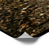 Poster La piste automnale mène dans le brouillard (Coin)