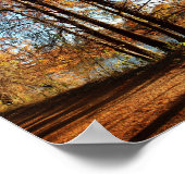 Poster La piste de course du lac Ladybird - Austin, Texas (Coin)