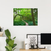 Poster La piste des Groves antiques au parc national olym (Bureau à domicile)