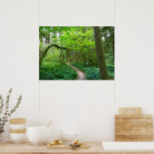 Poster La piste des Groves antiques au parc national olym (Cuisine)