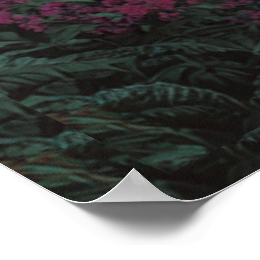 Poster La plage cachée (Coin)