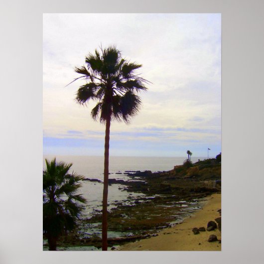 Poster La plage de Laguna (Devant)