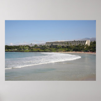 Poster La plage de Mauna Kea