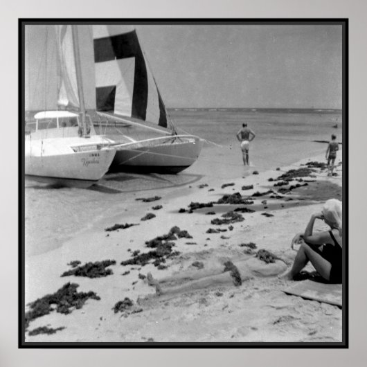 Poster La plage du Vieux Hawaii (Devant)