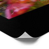 Poster La pluie d'automne (Coin)