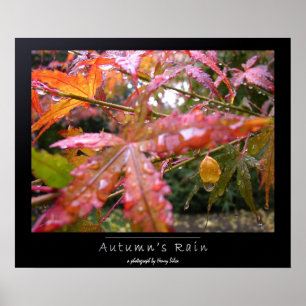 Poster La pluie d'automne