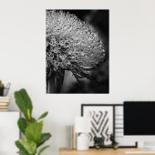 Poster La Pluie Noir - Dandelion (Bureau à domicile)